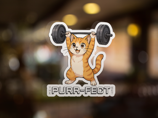 Funny colorful cat vinyl decal sticker