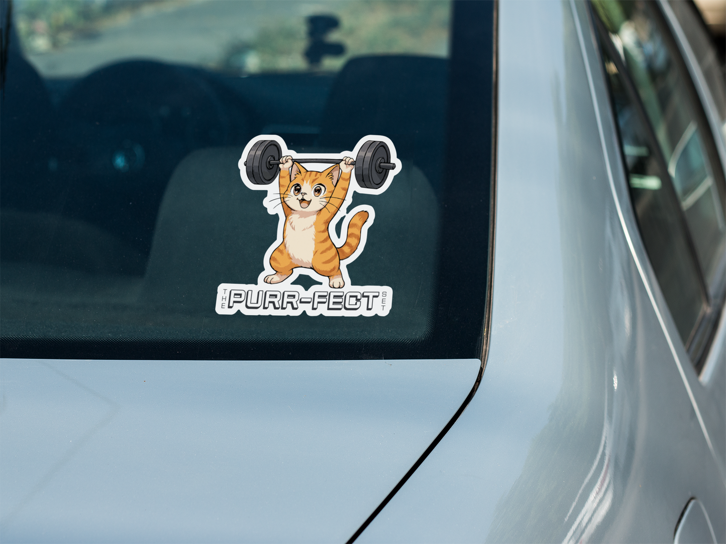 Funny colorful cat vinyl decal sticker