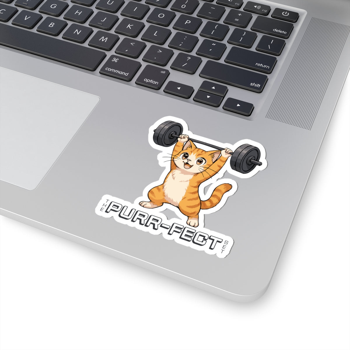 Funny colorful cat vinyl decal sticker